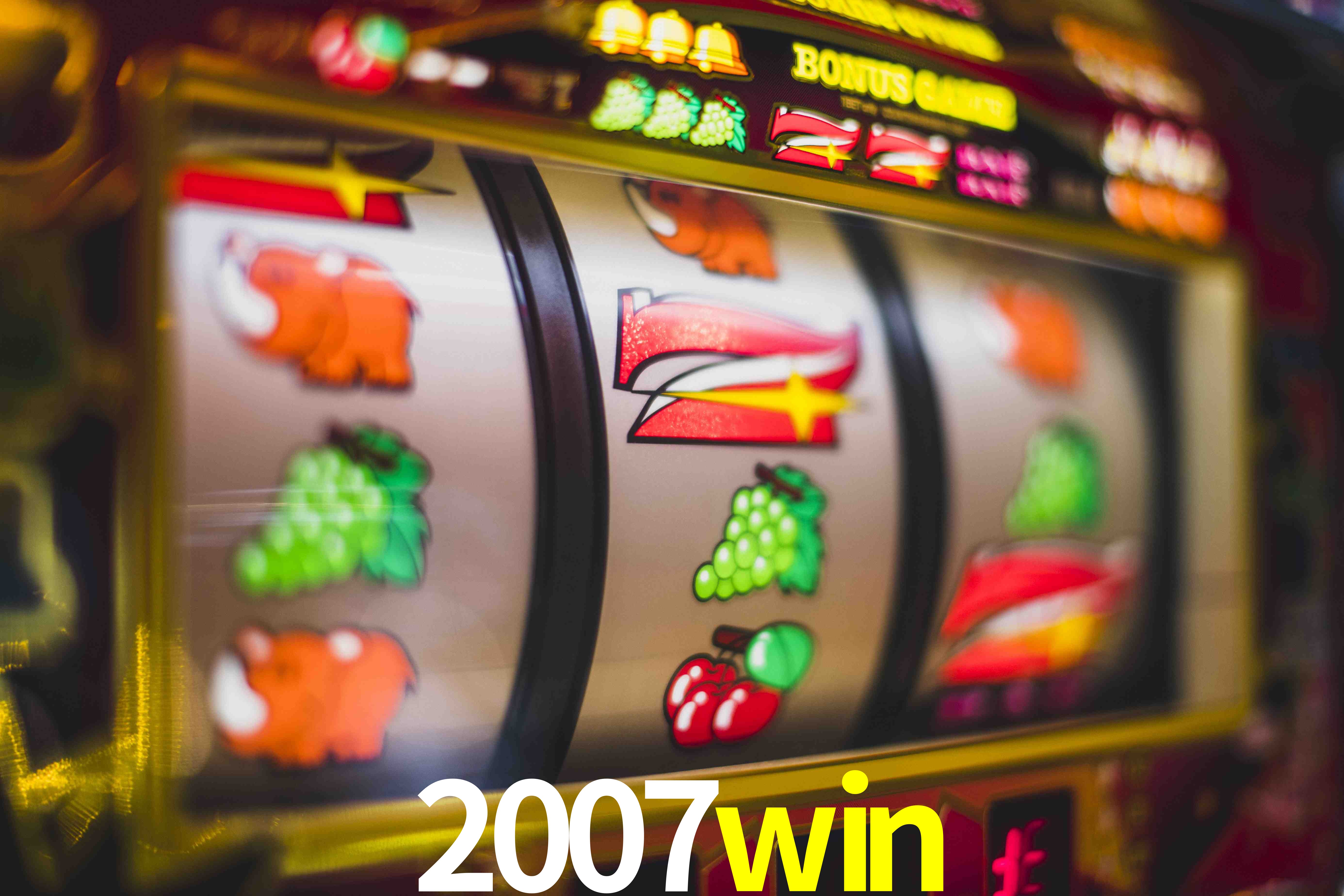 Tennis Betting 2007win
